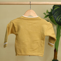 Winter Warm Woollen Full Sleeve Sweater For Baby | Tiger | Pack of 1