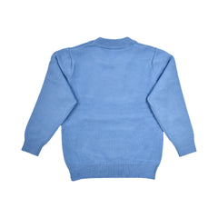 Organic Cotton Unisex Baby Winter Sweaters - Blue