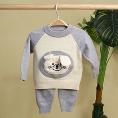 Winter Warm Woollen Full Sleeve Co-ord Sets For Baby | Bunny | Set of 1