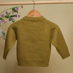 Winter Warm Woollen Full Sleeve Sweater For Baby | Lion | Pack of 1
