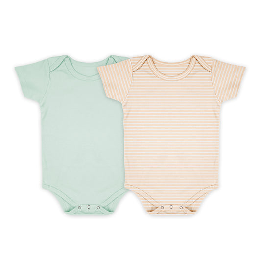 Baby Organic Cotton Onesie Brown Strip & Light Blue | 6-12 Months | Pack of 2